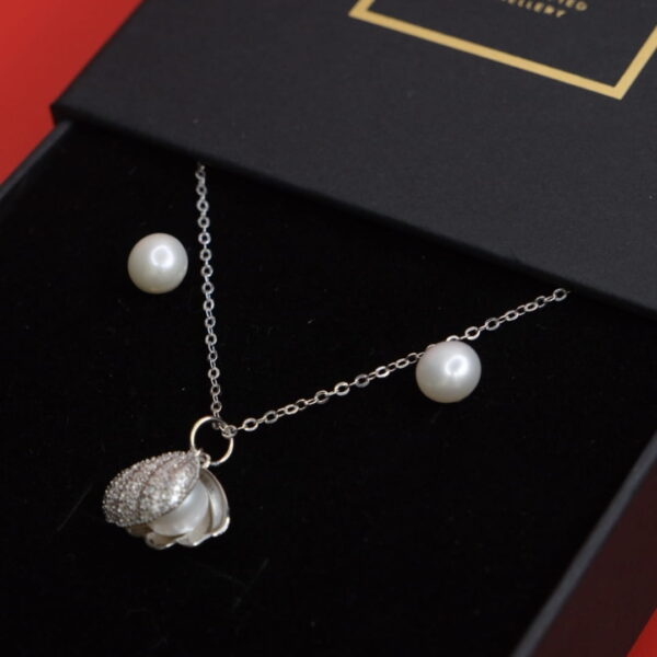 Big Хясаа Хослол