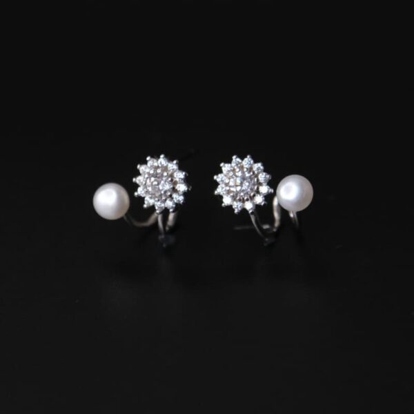 жижиг сувдан сувдан ээмэг